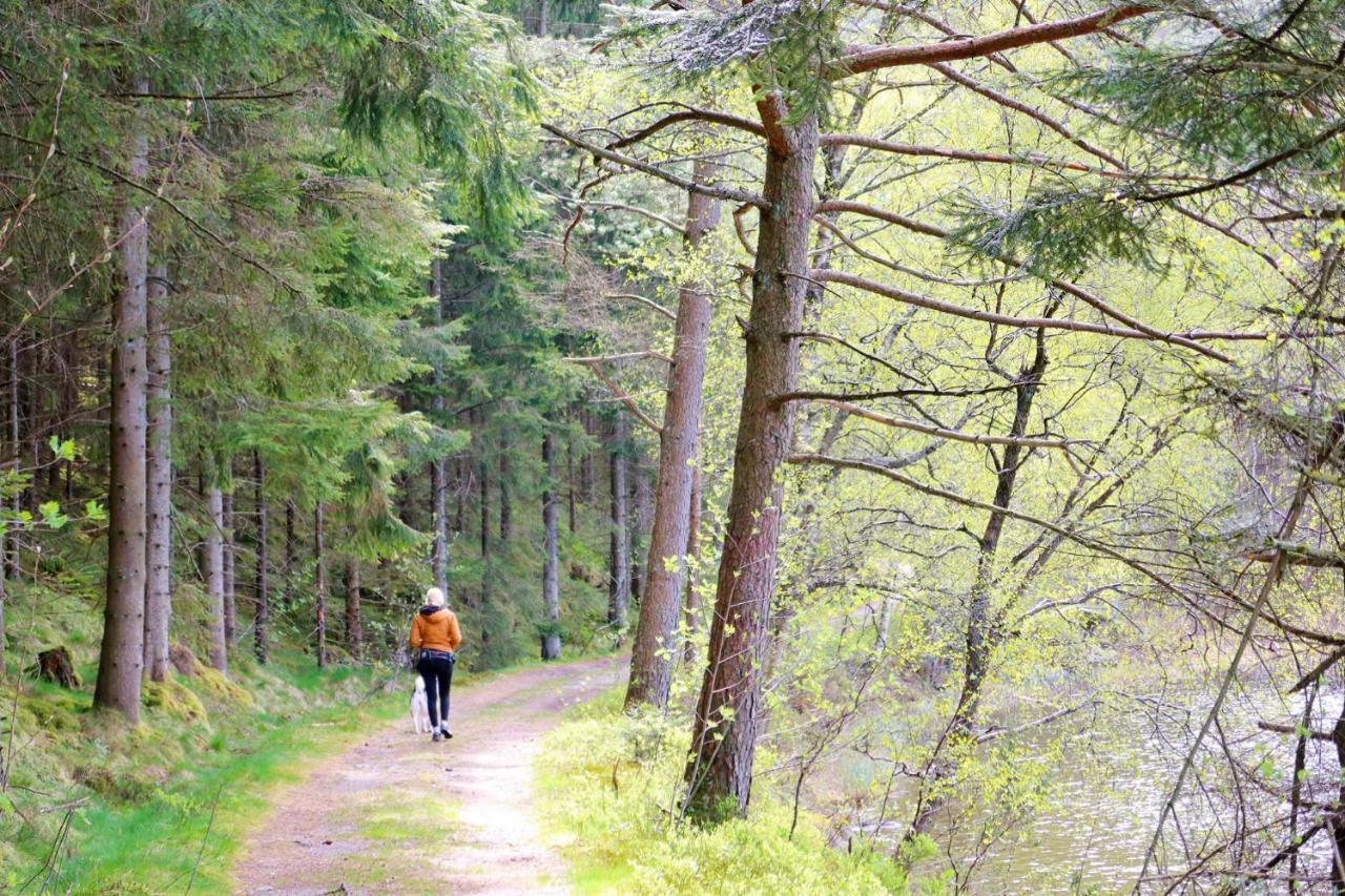 Det Hvite Hus Villa Feda Bagian luar foto